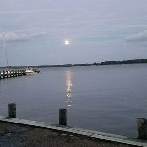 Meet your Posher, Reginald